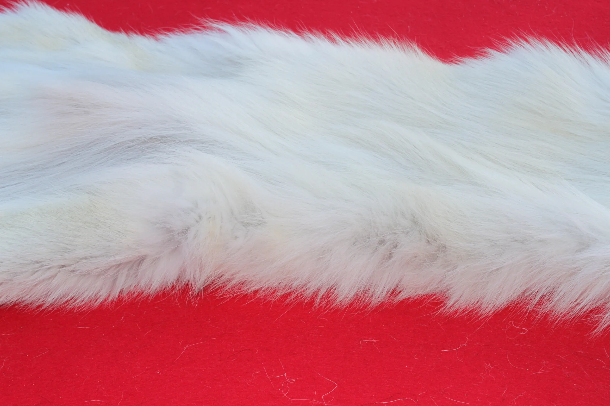 IMG_6115_e4394088-5fbb-4040-b0f1-503ff365f157_1024x1024@2x