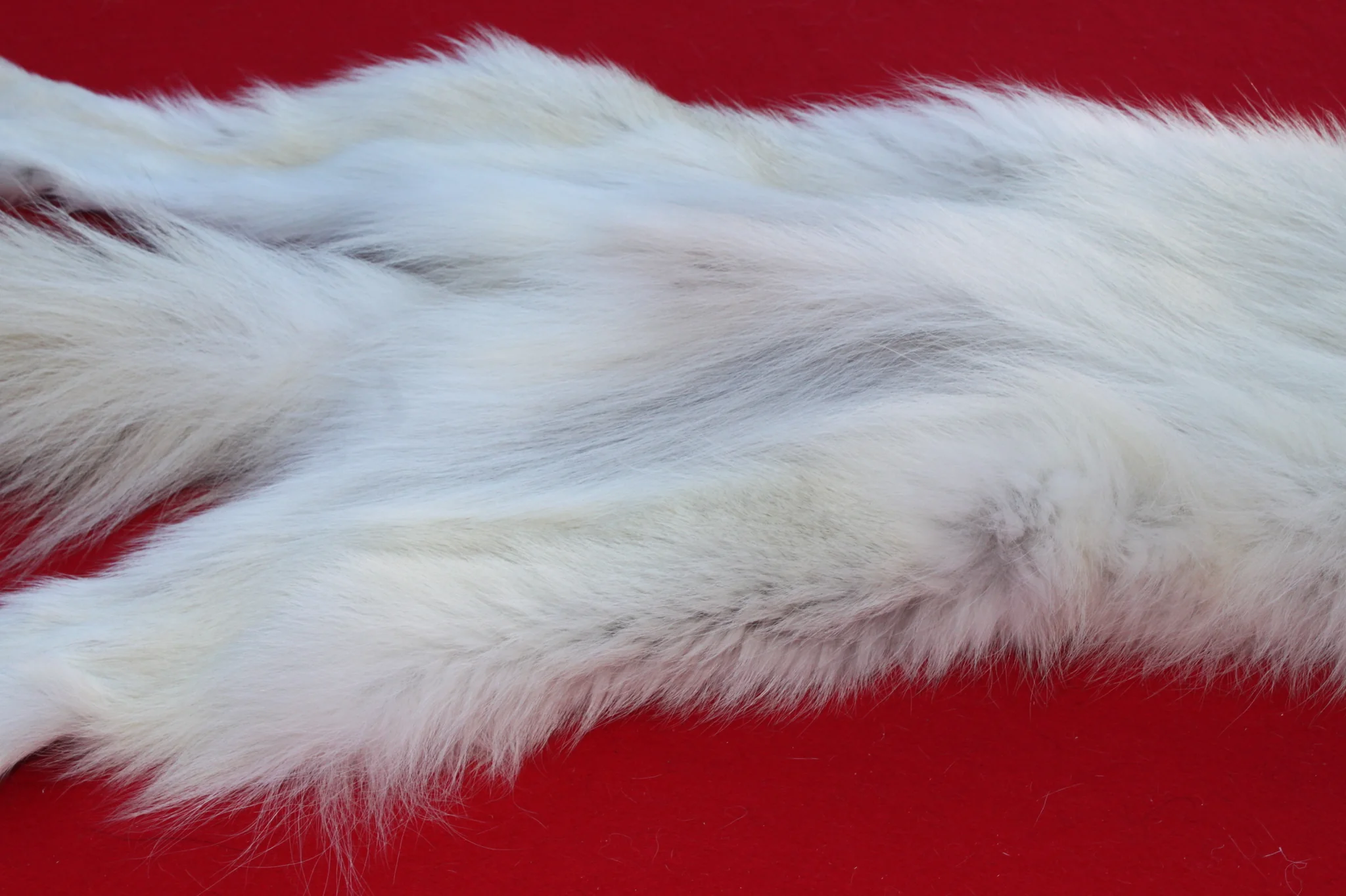 IMG_6116_a6733034-8572-4b22-ac1c-3bc5f683b906_1024x1024@2x