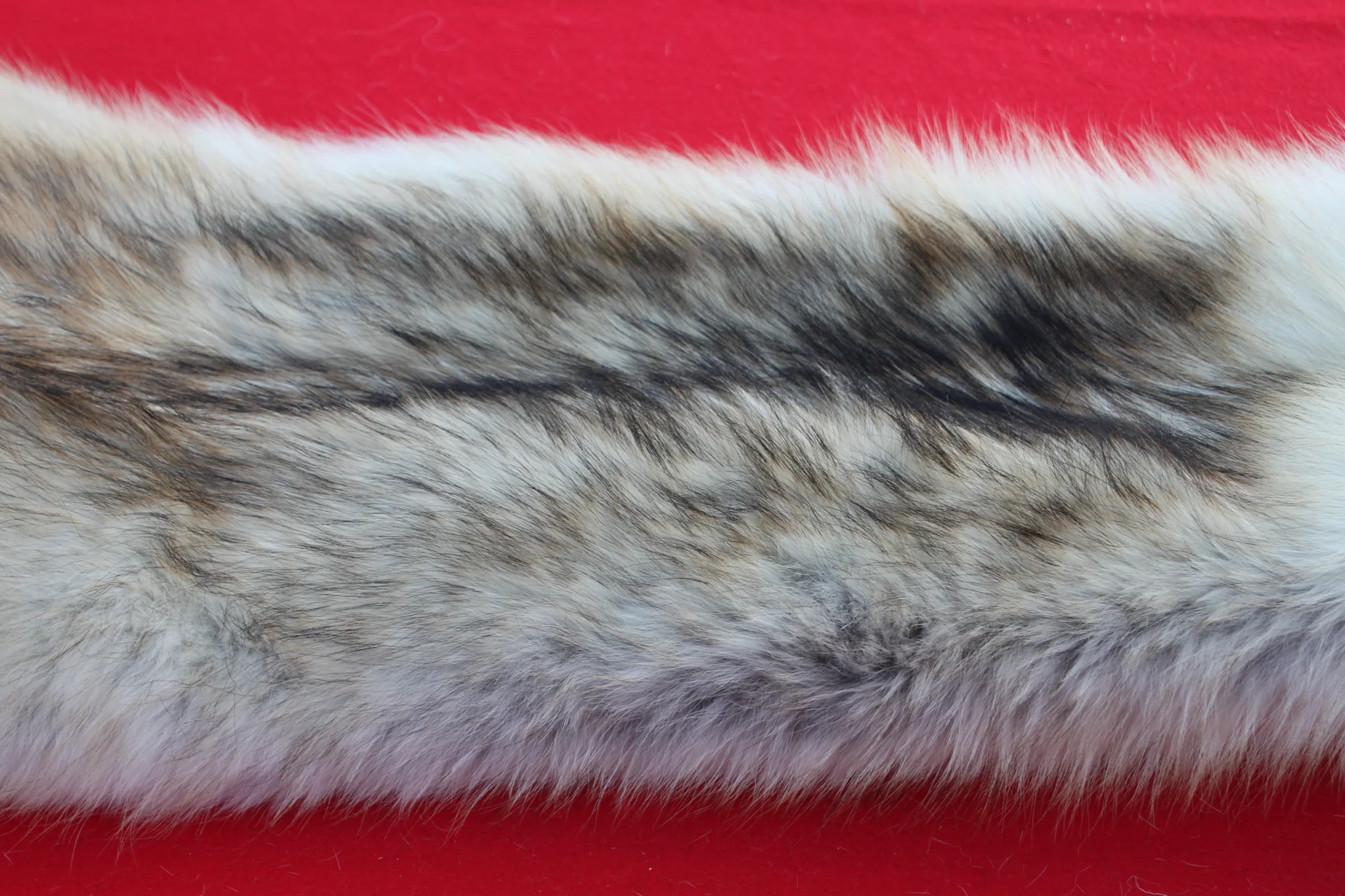 IMG_6125_3a51d0c7-bb33-43d4-813e-9ed8cbec51b3_1024x1024@2x