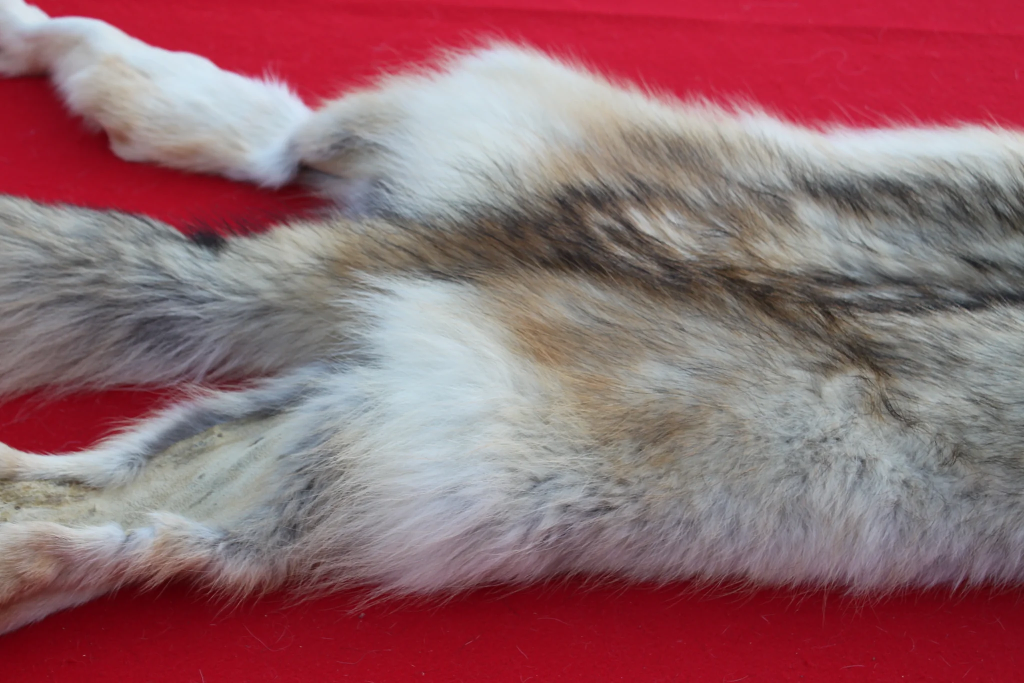 IMG_6127_dcdf87f6-03f8-4ca1-80b5-e53d729c46b3_1024x1024@2x