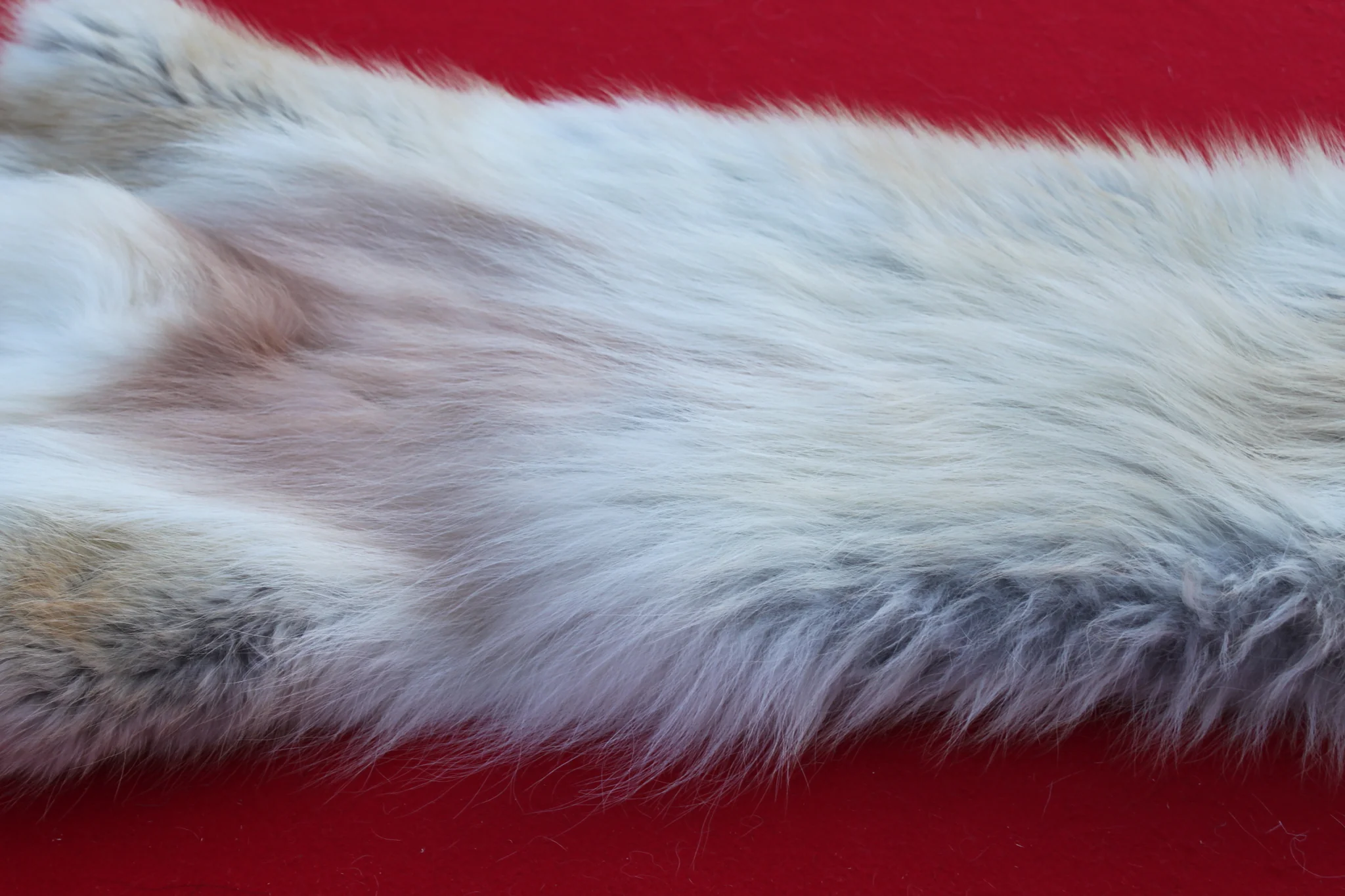 IMG_6136_ddee3dbd-aef2-4df6-ac6b-26f7cfe0d220_1024x1024@2x