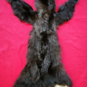 BEAR HIDE