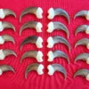 Bear Claws