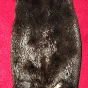 beaver pelt