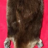 Beaver hide