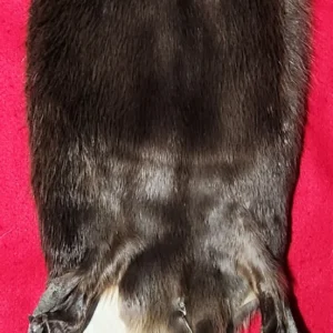 Bever fur