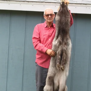 real wolf fur for sale