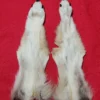 Wolf Rear Legskins