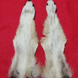 Wolf Rear Legskins