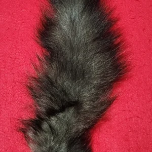 Black Wolf Tail
